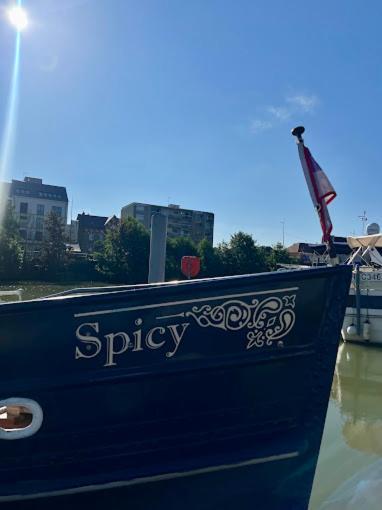 Spicy - Sejour Insolite Sur La Marne Meaux Dış mekan fotoğraf